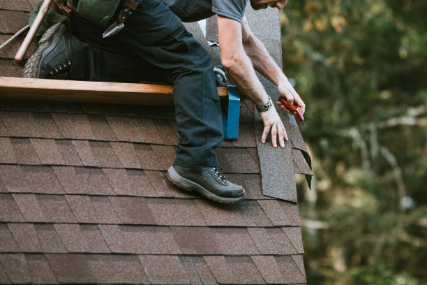 Professional Roofing Contractor in Antigo, WI